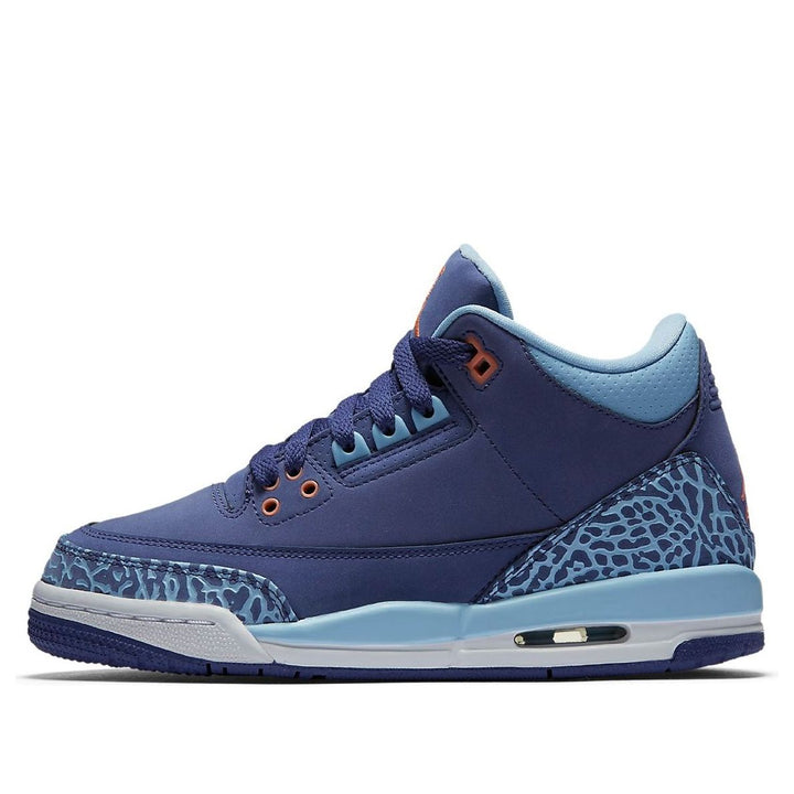 (GS) Air Jordan 3 Retro 'Purple Dust' 441140-506 #